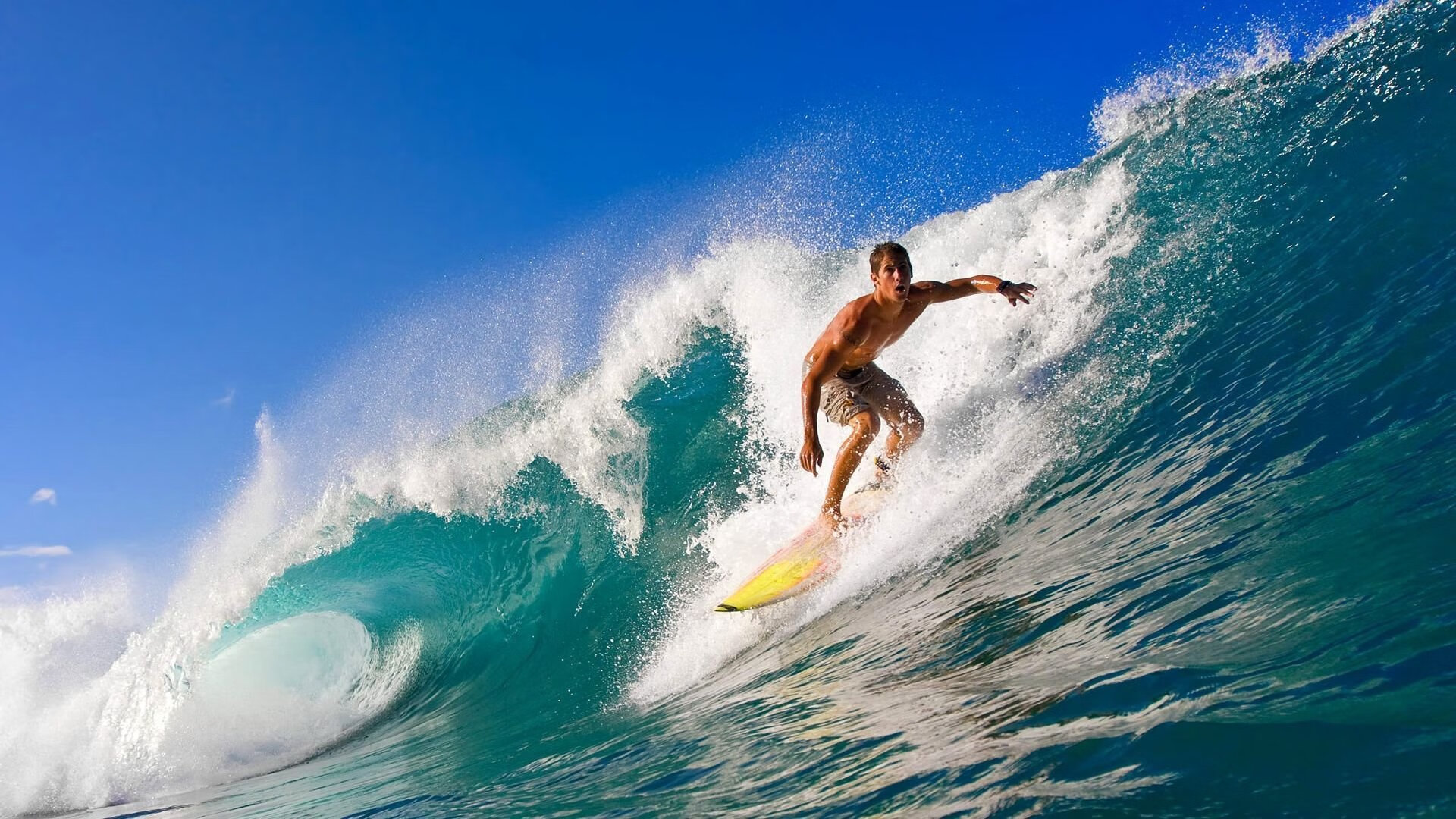 开云体育网页版-专访孙杨 从低谷中重新出发，专访孙杨 从低谷中重新出发的节目