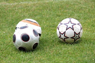 kaiyun开云·官方网站-基层足球俱乐部资金短缺，基层足球俱乐部资金短缺的原因